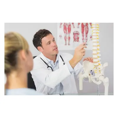 Chiropractic Consultation Exam & Two Adjustments