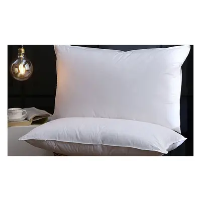 Duck Feather and Down Pillows, Two