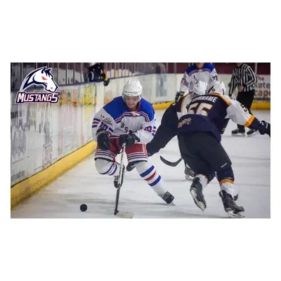 Ice Hockey, One Adult Ticket to Invicta Mustangs,Haringey Huskies,League at 19.00 on 08.03.25