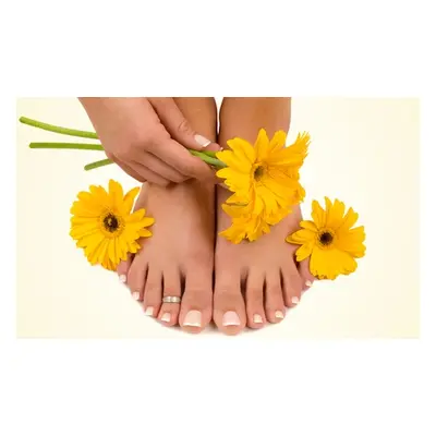 Shellac Manicure & Pedicure