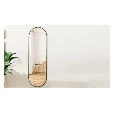 Modern Oval Metal Full Length Wall Mirror