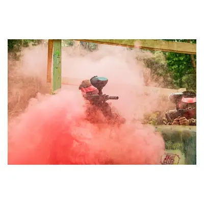 For 5, Paintball Half-day with 50 paintballs each