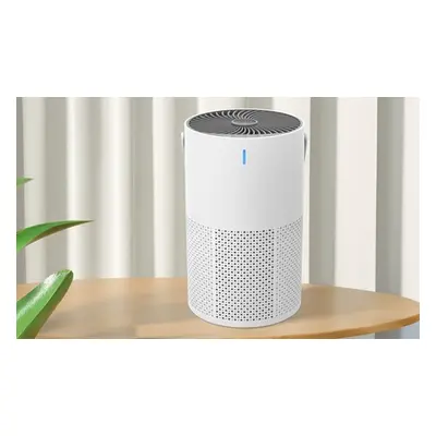 HEPA Air Purifier for Home