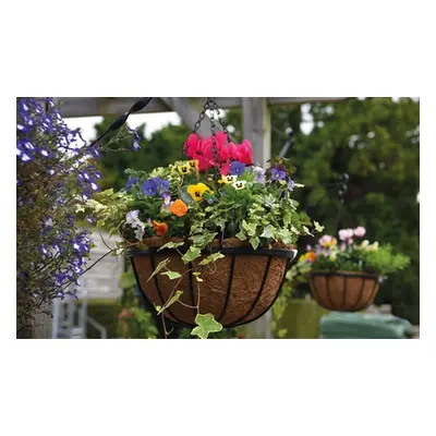 Garden Hanging Basket Collection,Garden Grow Hanging Basket and Liner ,Four,with 4 Brackets