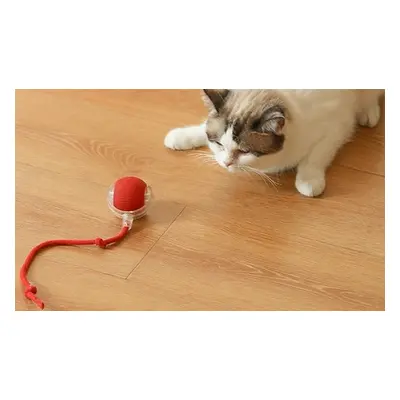 Interactive Electric Cat Rolling Ball Toy, Grey