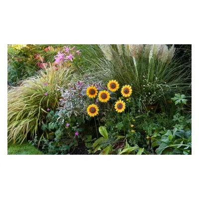 Pansy or Sunflower Design Stakes, Pansy Stakes ,12Pack