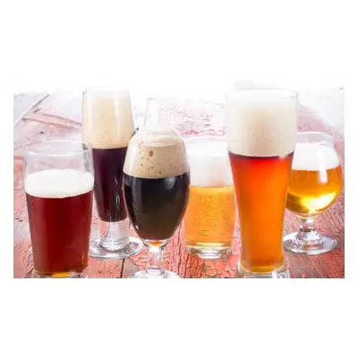 Home Brewing Beer Course