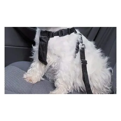 Pet Seatbelt, Three