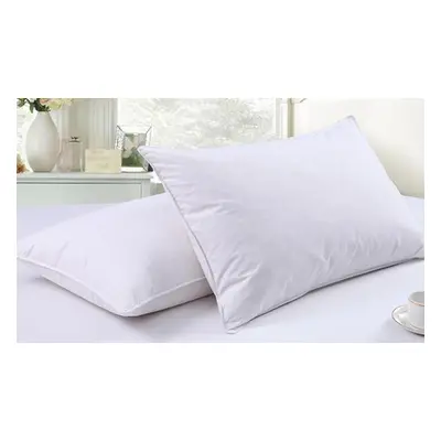 233TC Goose Feather and Down Pillows, Four