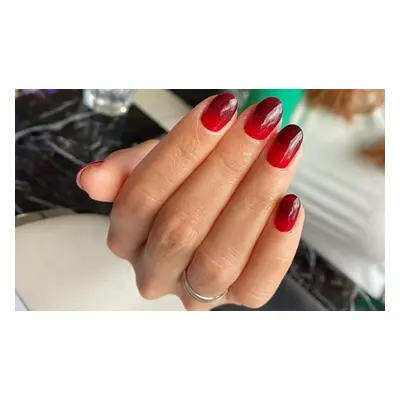 Shellac or Gel Manicure