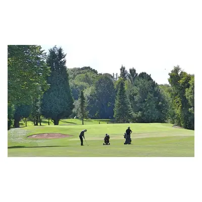 18 Holes Round of Golf for 4 (Sat-Sun)