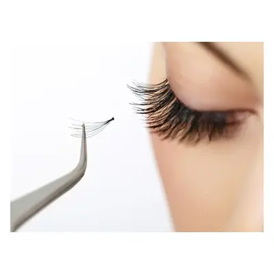 One Full Set of Volume Eyelash Extensions