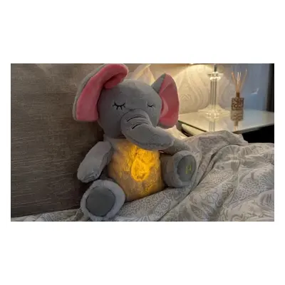 Elephant Plush Toy