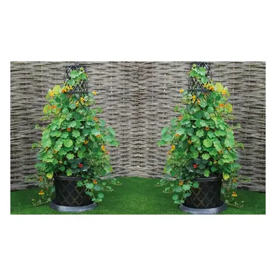 Decorative Tower Pot, Two