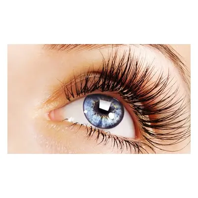 One Full Set of Classic Eyelash Extensions