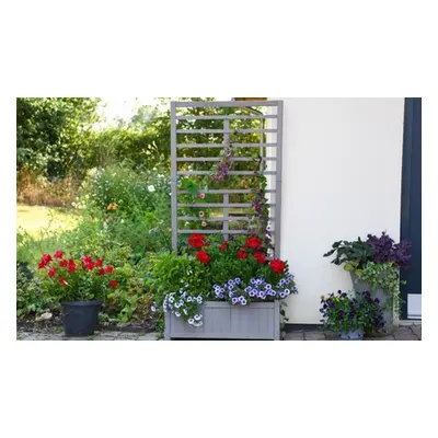 Raised Wooden Planter with Climbing Trellis, Natural