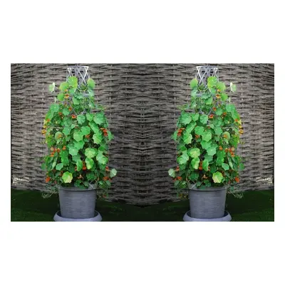 Tower Patio Pot, Black with Gold,Two Pack