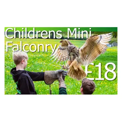 Children s Mini Bird of Prey Session (1 child)