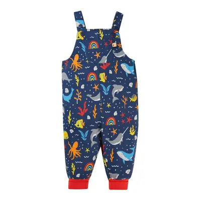 Frugi Parsnip Dungarees - Rainbow Sea