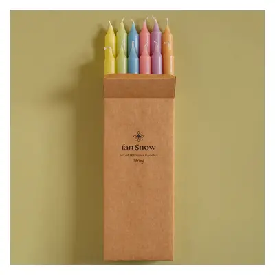 Ian Snow Spring Pastel Dinner Candles - Set of 12