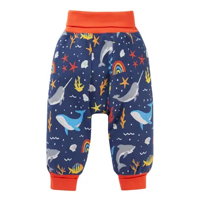 Frugi Parsnip Pants - Rainbow Sea