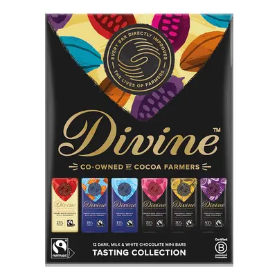 Divine Chocolate 12 Bar Tasting Set - 180g