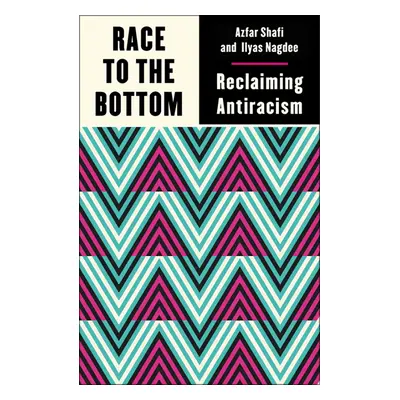 Race to the Bottom: Reclaiming Antiracism Paperback Book