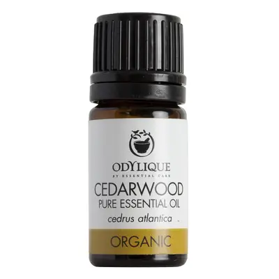 Odylique Organic Cedarwood Essential Oil - 5ml