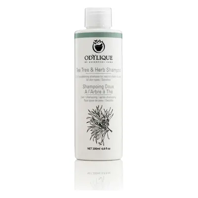 Odylique Tea Tree & Herb Shampoo - 200ml