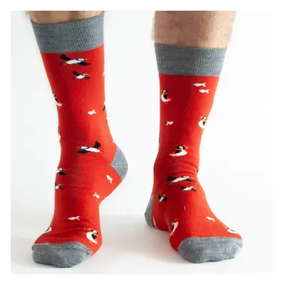 Doris & Dude Red Puffin Merino Wool Socks - UK 7-11