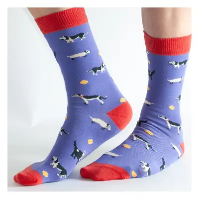 Doris & Dude Purple Dog Socks - UK 3-7