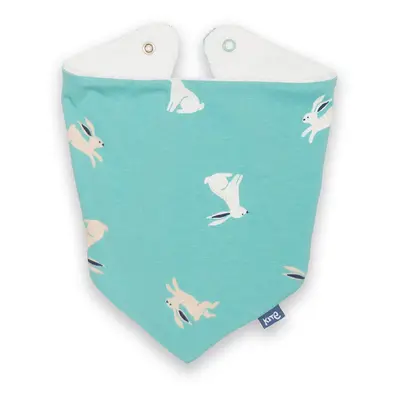 Kite Hare Hug Bib