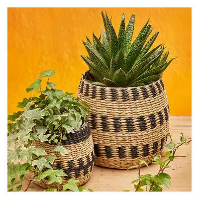 Black Natural Seagrass Planter Set