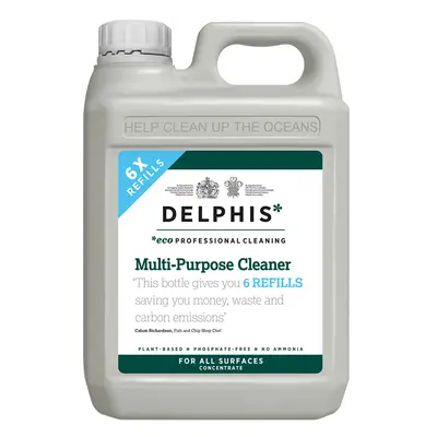 Delphis Eco Multi-Purpose Cleaner - 2L