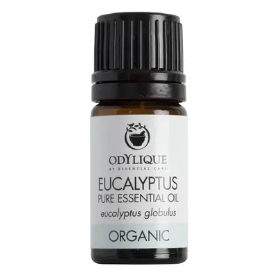 Odylique Organic Eucalyptus Essential Oil - 5ml