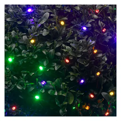 Solar Powered 50 Coloured LED String Lights