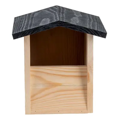 Robin Bird House