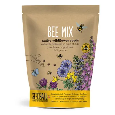 Seedball Bee Mix Grab Bag