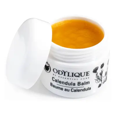 Odylique Calendula Balm - 50g