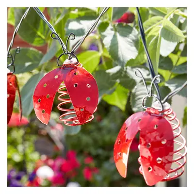 Ladybird Solar Powered String Lights - Set of 10