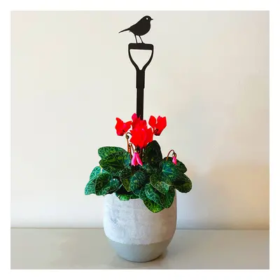 A Blackbird Sang Indoor Pot Stem - Robin