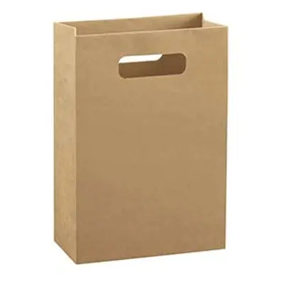 Kraft Gift Bag Large Pack of 10