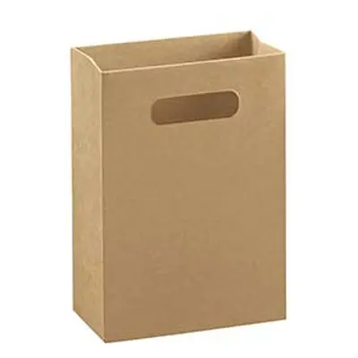 Kraft Gift Bag Medium Pack of 10