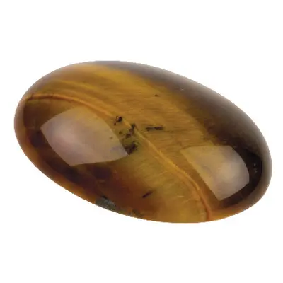 Tiger`s-eye, Oval Cabochon 20x15mm