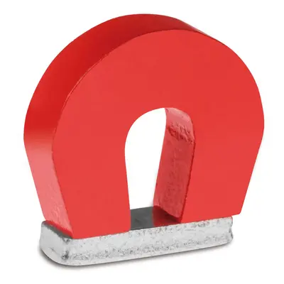 Horseshoe Magnet