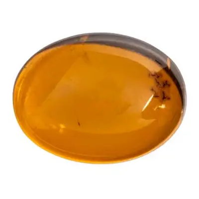 Natural Amber, Oval Cabochon, 16x12mm