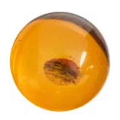 Natural Amber, Round Cabochon, 6mm