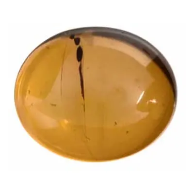 Natural Amber, Oval Cabochon, 12x10mm