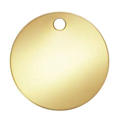 Gold Filled Round Disc 10mm Light Blank