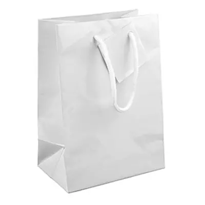 White Gloss Gift Bag, Small Pack of 5 170x120x75mm